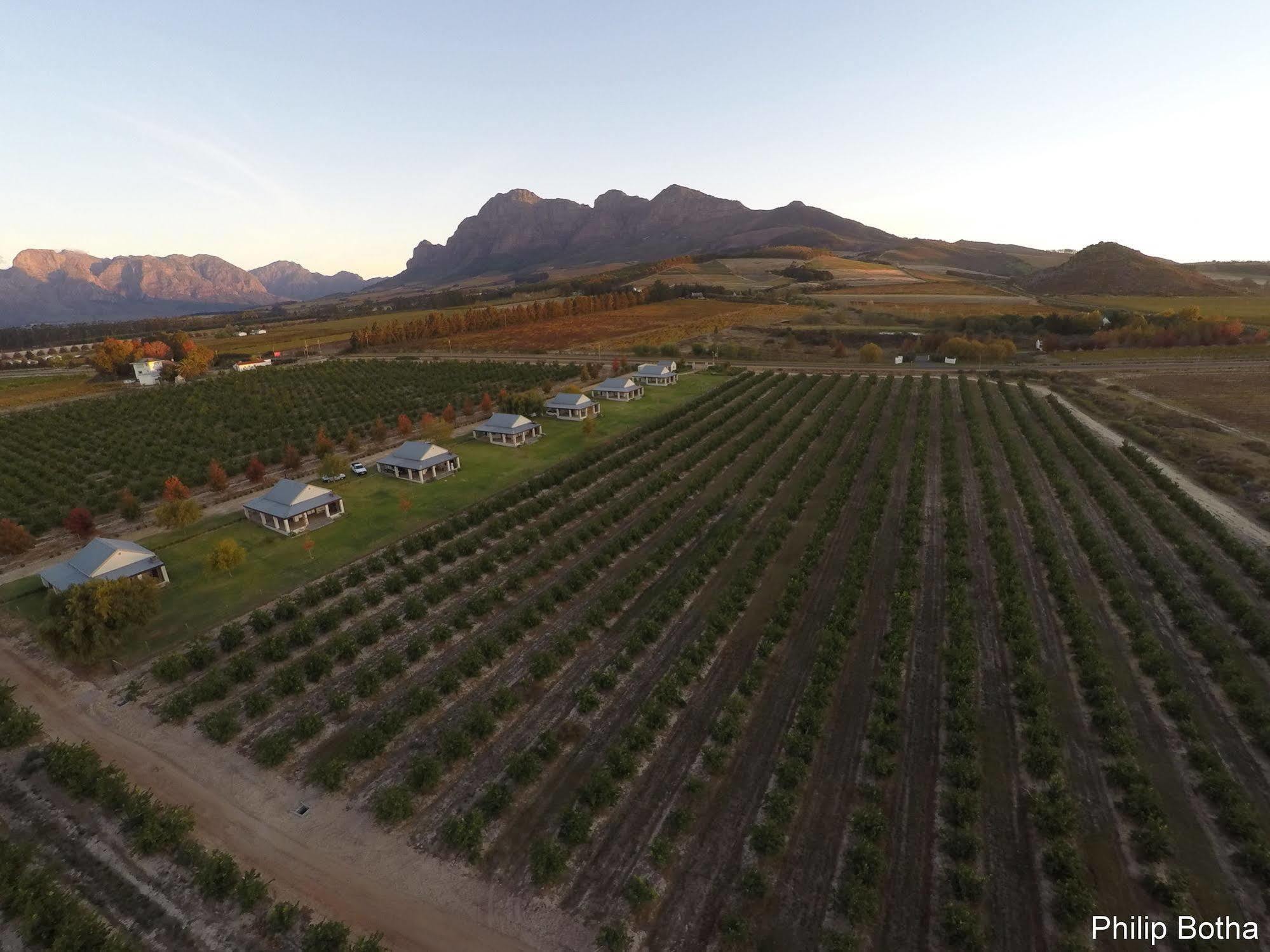 Paddabult Self Catering Cottages Paarl Exterior foto